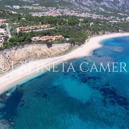 Casa Vacanza Gelsomino Cala Gonone Exterior photo